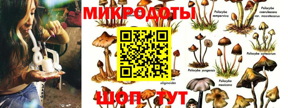 Галлюциногенные грибы Magic Shrooms Кушва